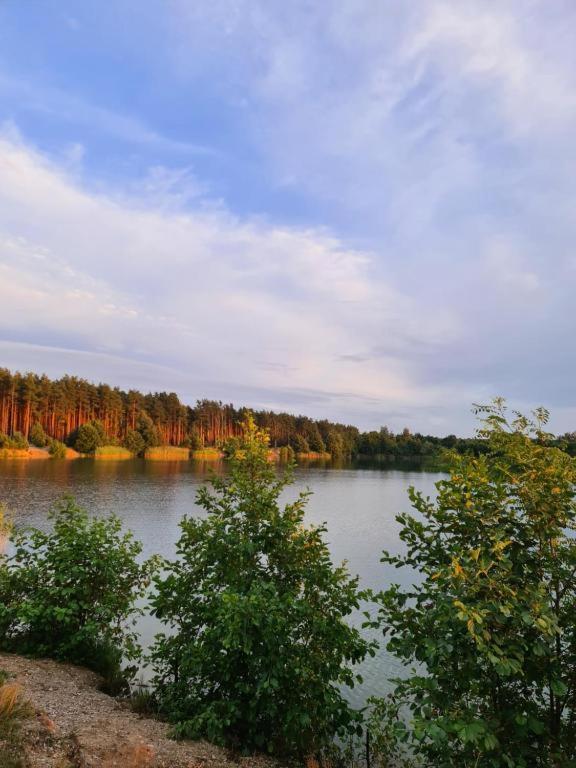 Agroturystyka U Siwego Rokitki  Buitenkant foto